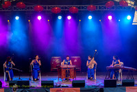 2014 - Chinese Lantern Festival - Auckland - 15 February - Camera 2
